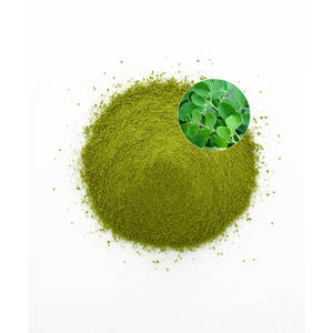 Poudre de Moringa naturel Extrait de plantes biologiques Poudre de Moringa en gros - Product Image 2