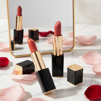Lot de rouges à lèvres véganes imperméables 24h, fini mat, anti-adhésifs, avec ingrédients minéraux et effet nacré, marque privée, vente en gros