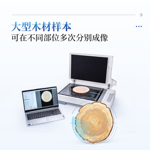 Tree Ring Analyzer System Annual Ring Measurement 0-100mm For Tree Growth Analysis And Age Detection - Product Image 4