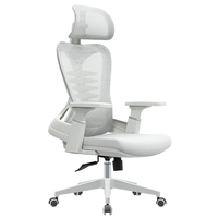 Chaise de bureau ergonomique Mobili Ufficio Brostuhl, chaise de designer avec accoudoirs, importée de Chine