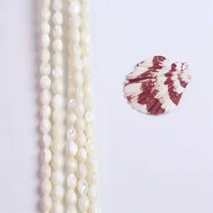 Natural White Shell Pearl 4-9mm Sea Shell Beads Loose Beads Wholesale DIY Beads Accessories