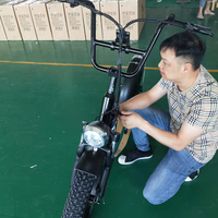 Trottinette électrique à 2 roues pour adulte, 500w, fabrication d'usine, à la mode, nouveauté
