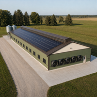 Structure en acier préfabriquée pour élevage avicole, entrepôt Q355B, charpente portique, ventilation, silo à alimentation solaire, bétail
