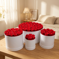 AM-PFB02 Ammy Rose éternelle blanche en boîte cadeau ronde, rose éternelle pour les cadeaux de la Saint-Valentin