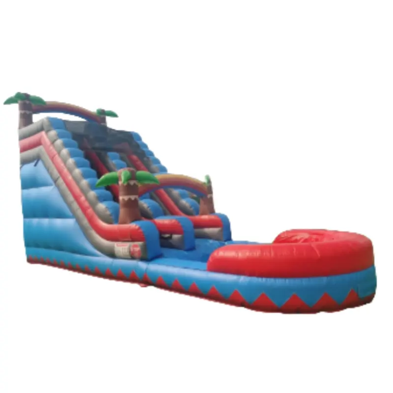 Custom commercial grade 30 Ft long jumbo giant inflatable Dual Lane water slide for adult sale