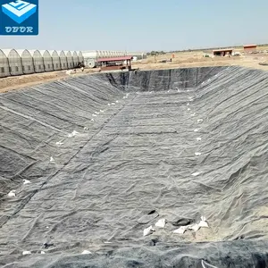 Geomembrana HDPE 1mm 1.5mm 2mm diga geomembrana rivestimento per il serbatoio di discarica biogas digestore industria in Arabia Saudita