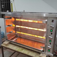 24 rôtissoire de poulet à gaz pour barbecue commercial et kebab