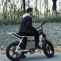Ebike nouveau modèle de vélo électrique rétro 48V 750W e-bike avec moteur de moyeu arrière gros pneu Style rétro vélo électrique