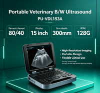 Échographe vétérinaire portable Yonker de type B pour animaux de compagnie et bétail, idéal pour le contrôle de la gestation en clinique vétérinaire de base