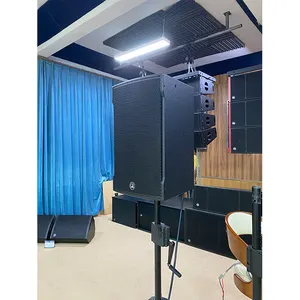 Music Studio Equipment factory direct sale 12 Inch Speakers Professional Audio Dj Karaoke Ceiling Speaker