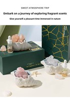 Diffuseur d'arômes en pierre de cristal, coffret cadeau d'aromathérapie, parfum durable pour la maison, le salon - Utilisation toute saison