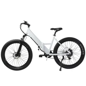 Electric Mountain Bike Folding Road 3.0 Fat Tire Hidden Battery Electric Bicycle MBT
