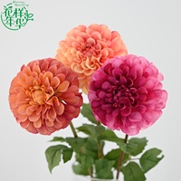 Kedatangan Baru Bunga Dahlia Sutra Besar 57cm Dekoratif Satu Tangkai Warna Champagne Peach Putih untuk Dekorasi Hotel dan Pernikahan
