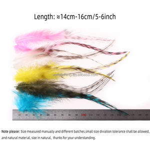 Plumes <span class=keywords><strong>de</strong></span> selle <span class=keywords><strong>de</strong></span> coq grizzly, 14-16 cm, pour streamers d'eau salée et matériaux <span class=keywords><strong>de</strong></span> montage <span class=keywords><strong>de</strong></span> mouches - Product Image 3