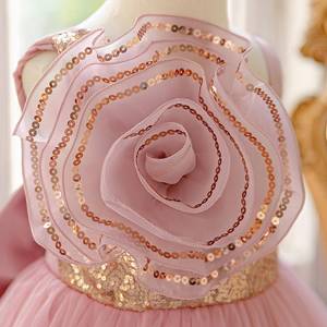 Vestido de Princesa 3D para Niñas, Vestido de Fiesta para Niñas, Traje de Gala para Bebés, Ropa para el Primer Cumpleaños, Ropa para Actuaciones Nocturnas de Niñas Pequeñas - Product Image 4