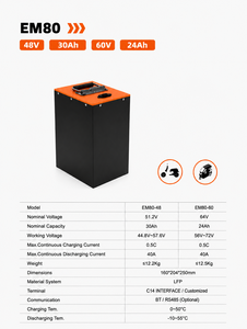 Precio al por mayor: Baterías LFP de 48V/51.2V 30Ah 1536Wh 1C 16S1P con monitoreo en tiempo real y soporte para sistemas de energía portátiles - Product Image 2
