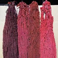 Großhandel Konservierte Amaranth-Blumen, Natürlich Getrocknete Hängende Amaranthus Caudatus Blüten für Hochzeits- und Eventdekoration