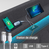 Cadre de lit en tissu gris avec éclairage LED RGB, télécommande via application, chargement USB Type C, 4 tiroirs et rangement dans la tête de lit, taille Queen