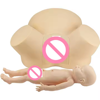 Modelo avanzado de demostración y entrenamiento de distocia Modelo de enseñanza de partería y parto de distocia para obstetricia y ginecología