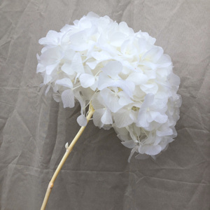 天然绣球花干准备勃艮第绣球花保存真正的新鲜婴儿粉色高端绣球花，用于婚礼活动装饰 - Product Image 2