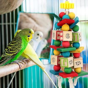 木の鳥のケージおもちゃビーチのトリムを助けるアフリカの灰色のオウムのおもちゃアマゾンオウムの小さな中型鳥 - Product Image 5