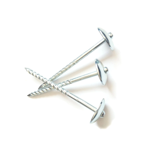 Clous <span class=keywords><strong>de</strong></span> toiture galvanisés à tête parapluie, durables et très demandés, pour l'installation <span class=keywords><strong>de</strong></span> toitures <span class=keywords><strong>de</strong></span> maisons - Product Image 3