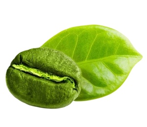 Extracto de Grano de <span class=keywords><strong>Café</strong></span> Verde Arábica Certificado ISO, Ácido Clorogénico Puro al 50% al <span class=keywords><strong>Mejor</strong></span> Precio - Product Image 4
