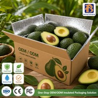 Geïsoleerde koelbox met aangepast logo, dubbele laag thermische verpakking voor ijs, diepvriesfruit en -groenten bezorging