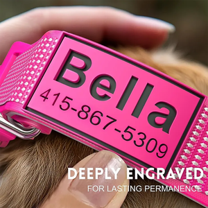 Kişiselleştirilmiş Pet yaka gece görüş yavru köpek gerdanlık tam yansıtıcı naylon yastıklı köpek tasması adı ile özel - Product Image 2