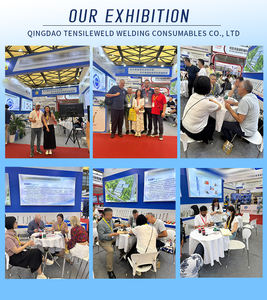 Électrode en alliage de nickel <span class=keywords><strong>ENi</strong></span>-Ci (<span class=keywords><strong>ENi</strong></span> 99) ENiFe-Ci (<span class=keywords><strong>ENi</strong></span> 55) pour la réparation des blocs-moteurs en fonte, 2,0-3,0 mm, électrode de soudage OEM - Product Image 6