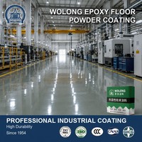 Revêtement en poudre époxy Wolong pour sols, résistant aux chocs et aux produits chimiques, armure de sol pour ateliers industriels, ponts et installations lourdes