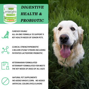 Integratori Multi-vitamina per cani e gatti all'ingrosso Para <span class=keywords><strong>Pet</strong></span> Probiotic Gut Digestive Health Blend fornitore Oem per integratore per animali domestici - Product Image 2
