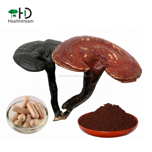 Ganoderma Lucidum (Reishi) Extrait Polysachharides 10%-40% - Product Image 2
