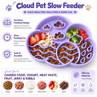 Ensemble de gamelles en silicone motif nuage mignon avec plat à nourriture amovible et tapis d'alimentation facile à nettoyer pour petits chiens et chats