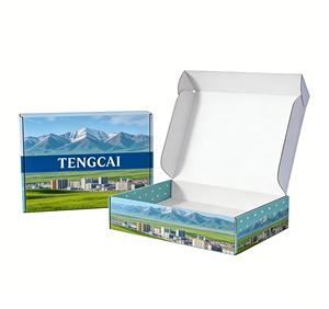 Scatole di Cartone Colorate Stampate di Grandi Dimensioni per Abbigliamento, Scatole di Spedizione Personalizzate in Cartone Ondulato con Logo - Product Image 1