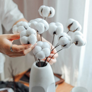 Vente en gros de <span class=keywords><strong>fleurs</strong></span> <span class=keywords><strong>séchées</strong></span> naturelles <span class=keywords><strong>Fleurs</strong></span> en <span class=keywords><strong>coton</strong></span> <span class=keywords><strong>séchées</strong></span> faites à la main pour décoration de <span class=keywords><strong>bouquet</strong></span> de bricolage - Product Image 2