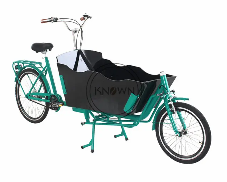 OEM New Style Kinder Dreirad Erwachsene 2 Räder Elektro fahrrad mit Kindersitz Gemüse Fracht Lieferung Fahrrad USA EUROPE Style