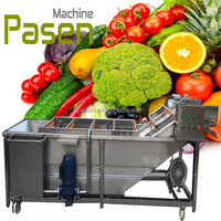 Draagbare Groente-en Reinigingsmachine Luchtbel Aardbei Wasmachine