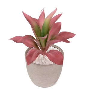 Plantas suculentas de plástico floral baratas 20cm <span class=keywords><strong>Mini</strong></span> <span class=keywords><strong>Agave</strong></span> artificial para Decoración - Product Image 4