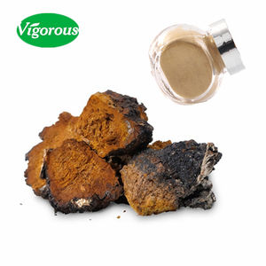 天然Inonotus obliquusチャガきのこエキス20年以上 - Product Image 1