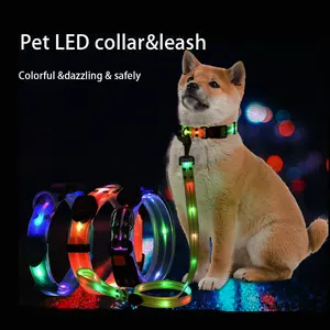 Hight Quality USB Rechargeable Collar Leash Adjustable LED Light Up Flashing Dog Leash Nylon Pet Leash