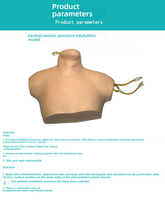 Modèle de formation au cathétérisme veineux central en PVC, simulateur de ponction de la veine jugulaire interne pour les sciences médicales cliniques