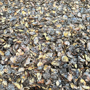 Pellets de cáscara de anacardo de 8mm súper baratos de fábrica directa, residuos agrícolas, cáscara de anacardos, pellets de madera de piel Testa - Product Image 1