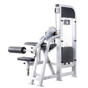 Strength Training Hip Extension Workout Plate Loaded Legs and Glute Machines Full Set Fitness Equipment WD-HX629 OEM/ODM Customi - Product Image 4