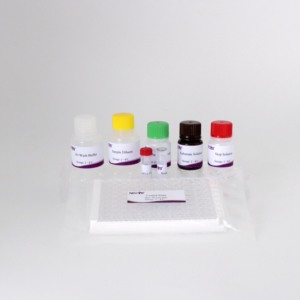 Kit de prueba de anticuerpos cELISA Babesia original para diagnóstico veterinario (96T/Kit) con alta sensibilidad - Product Image 2