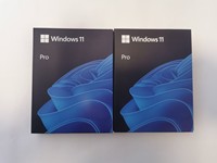Untuk Win 11 Pro USB Aktivasi Online Garansi 6 Bulan Win 11 Pro Usb FPP Box Tersedia