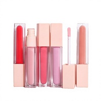 Gloss à lèvres liquide hydratant effet repulpant longue tenue waterproof 48 couleurs tube personnalisé marque privée