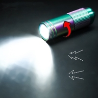 2024 plus récent cadeau lumière LED lumières compactes pour la promotion Mini titane LED lampe torche type-c lampe de poche rechargeable