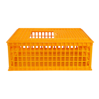 Cage de transport en plastique solide pour volaille, cage pour poulet, canard et oies