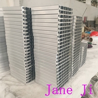 Profilé de plaque d'extrémité de module de batterie EV en aluminium